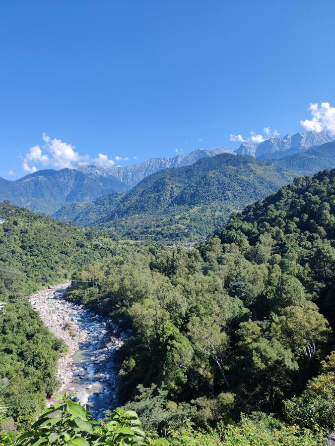Dhauladhar View Village Resort Dharamshala Extérieur photo