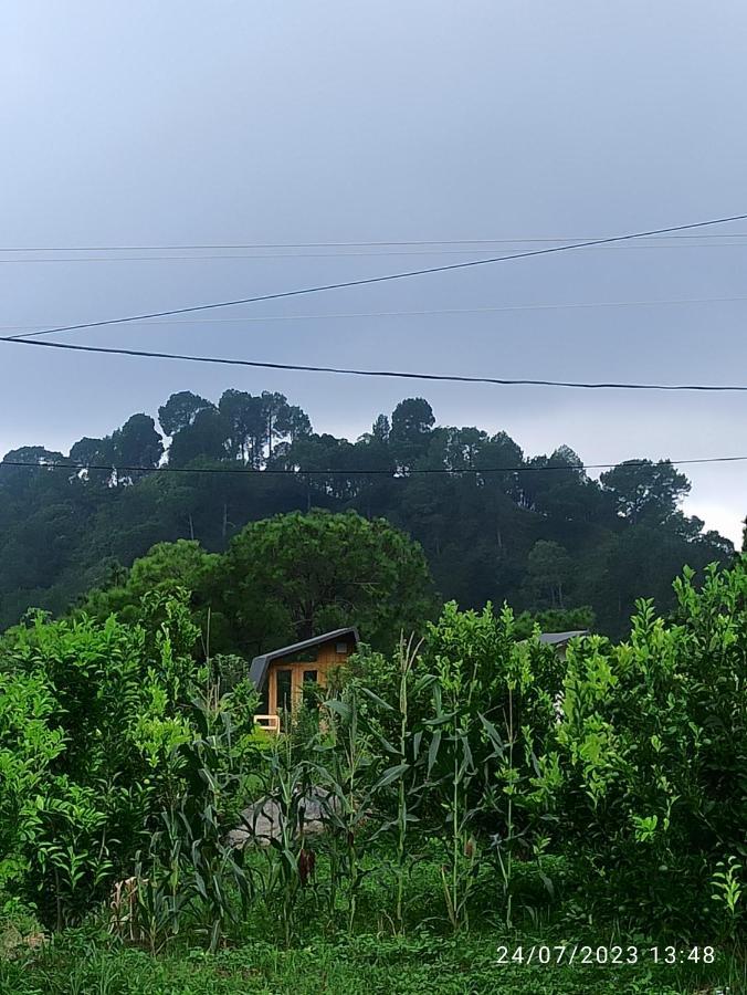 Dhauladhar View Village Resort Dharamshala Extérieur photo