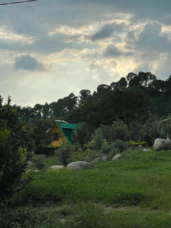 Dhauladhar View Village Resort Dharamshala Extérieur photo