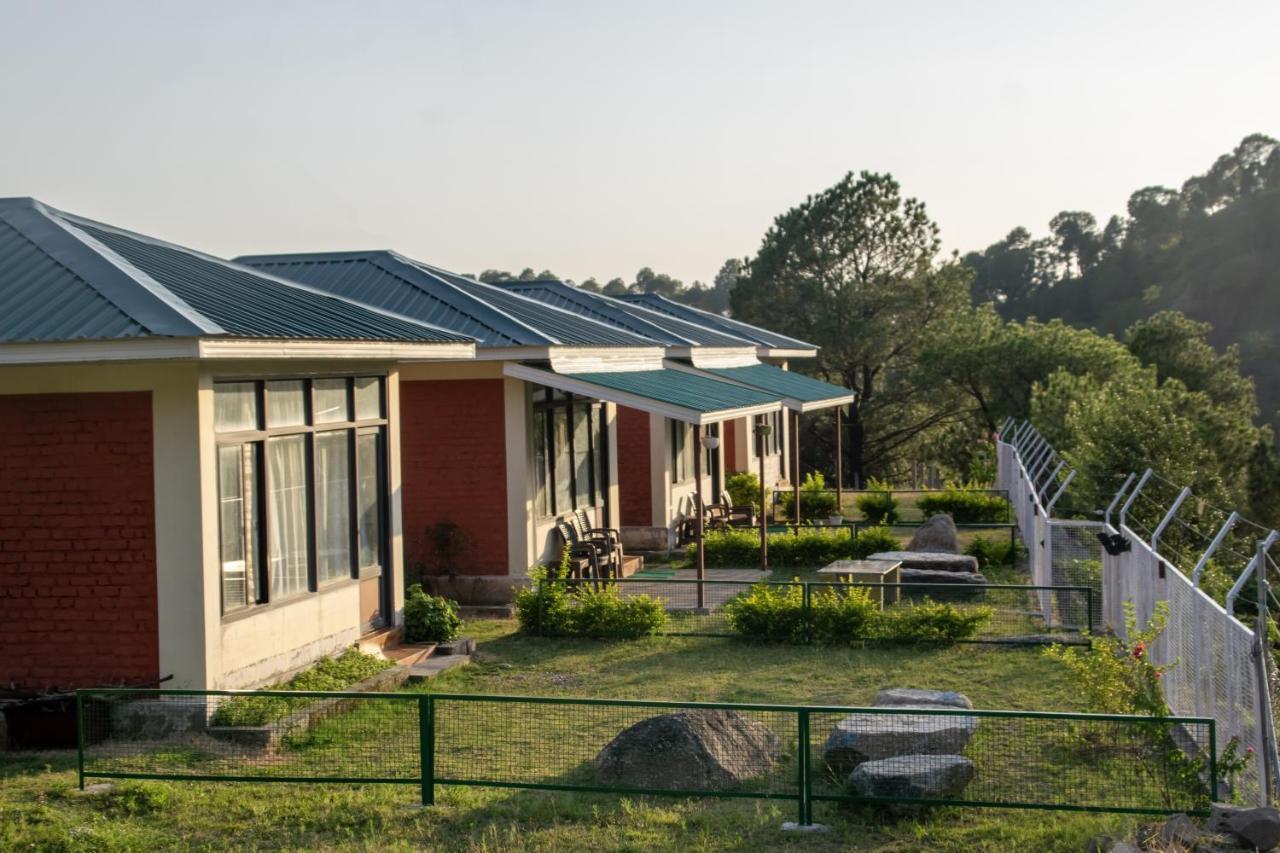 Dhauladhar View Village Resort Dharamshala Extérieur photo