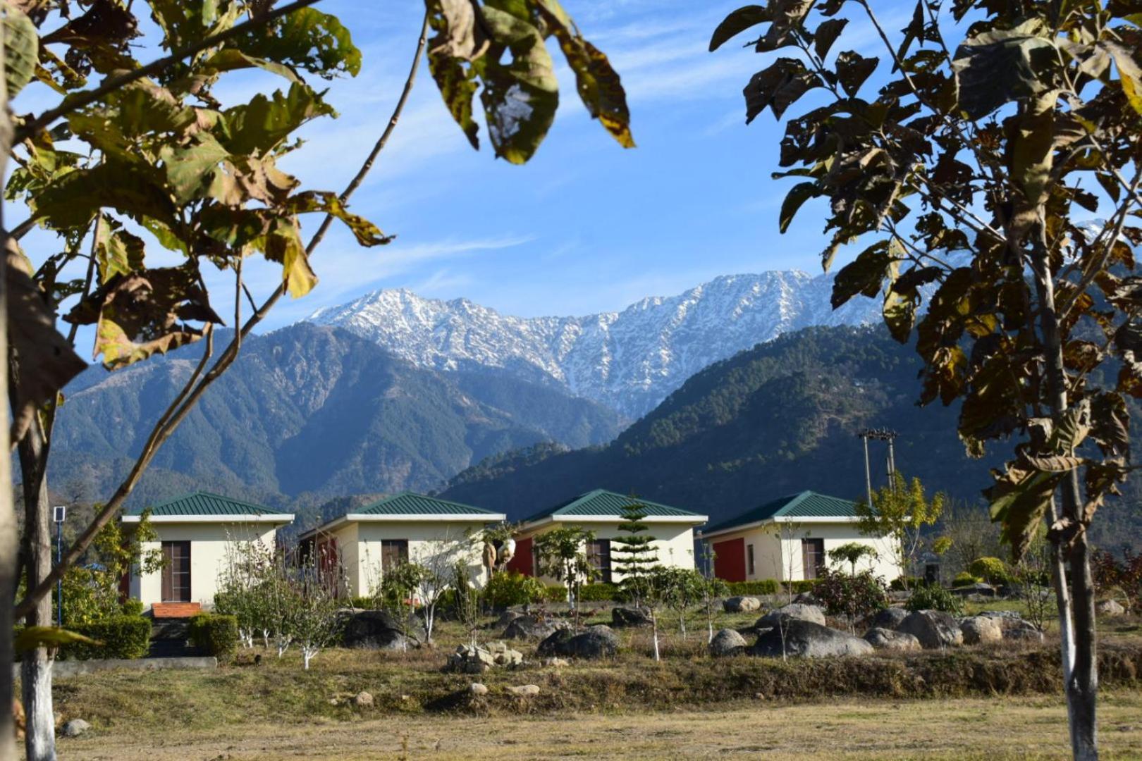 Dhauladhar View Village Resort Dharamshala Extérieur photo